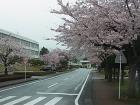 駐屯地（静岡県御殿場）.JPG